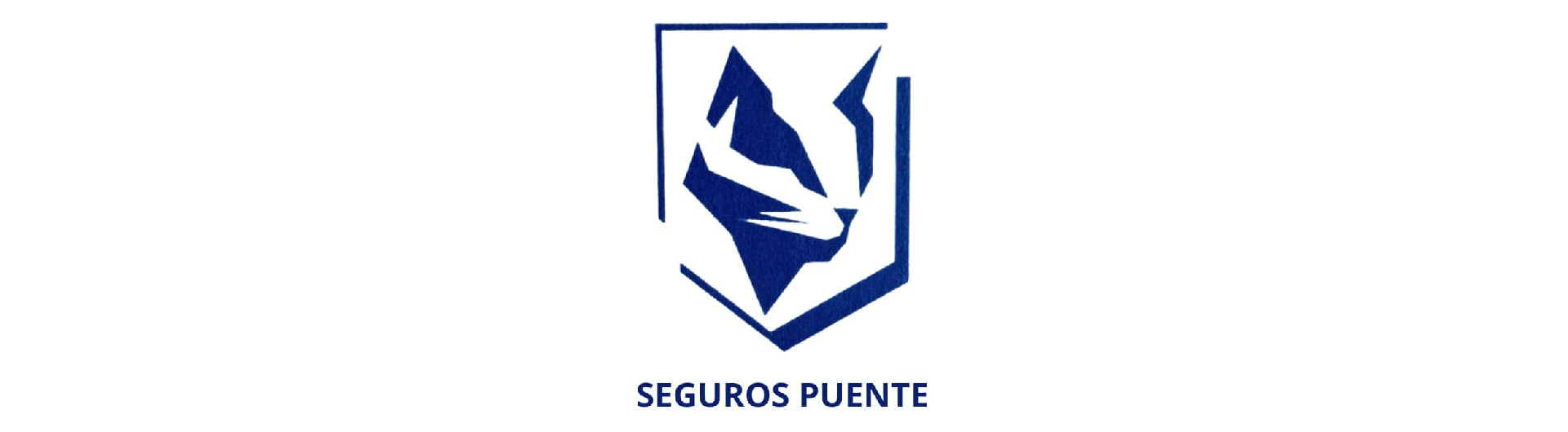 Seguros Puente